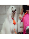 femme tenant un chien avec le distributeur de sacs à crottes en cuir orange Poopidoo MARTIN SELLIER