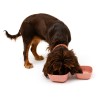 chien avec 2 gamelles pour chien carrées en mélaminée collection Élégance MARTIN SELLIER