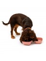 chien avec 2 gamelles pour chien carrées en mélaminée collection Élégance MARTIN SELLIER