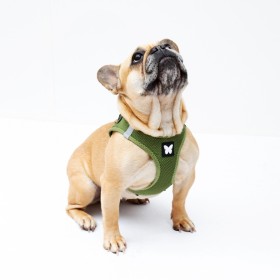 chien portant le harnais pour chien kaki mesh MARTIN SELLIER