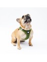 chien portant le harnais pour chien kaki mesh MARTIN SELLIER