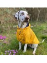 chien de face portant l'imperméable pour chien jaune saint malo martin sellier