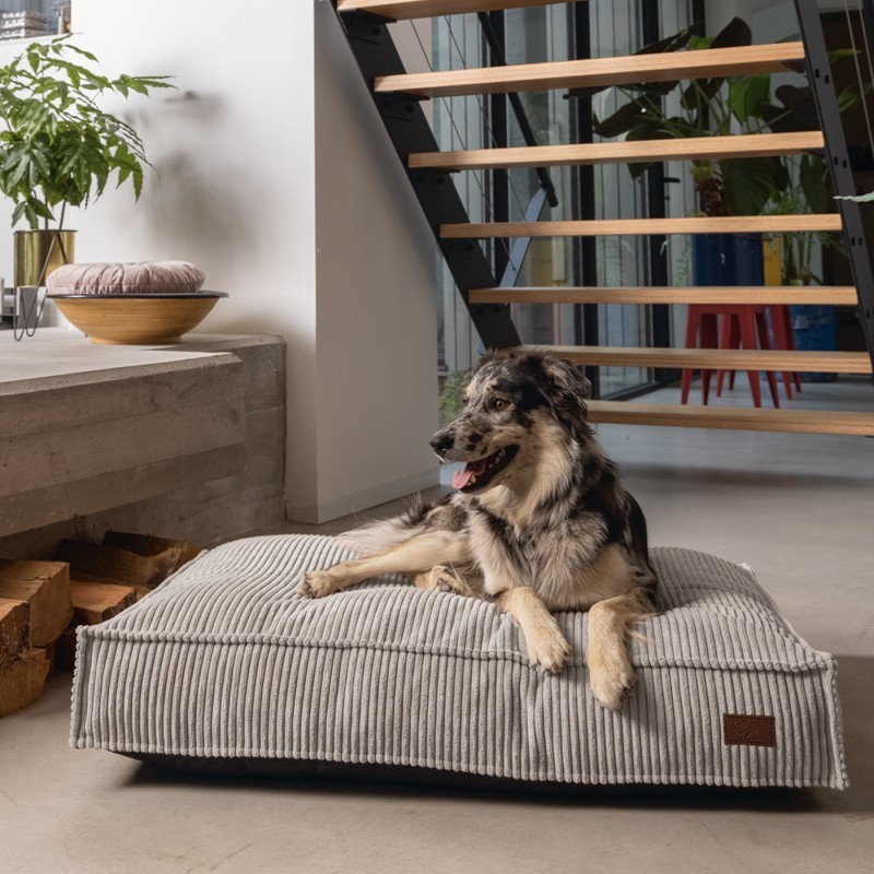 Chien sur le matelas pour chien en velours côtelé Designed by Lotte