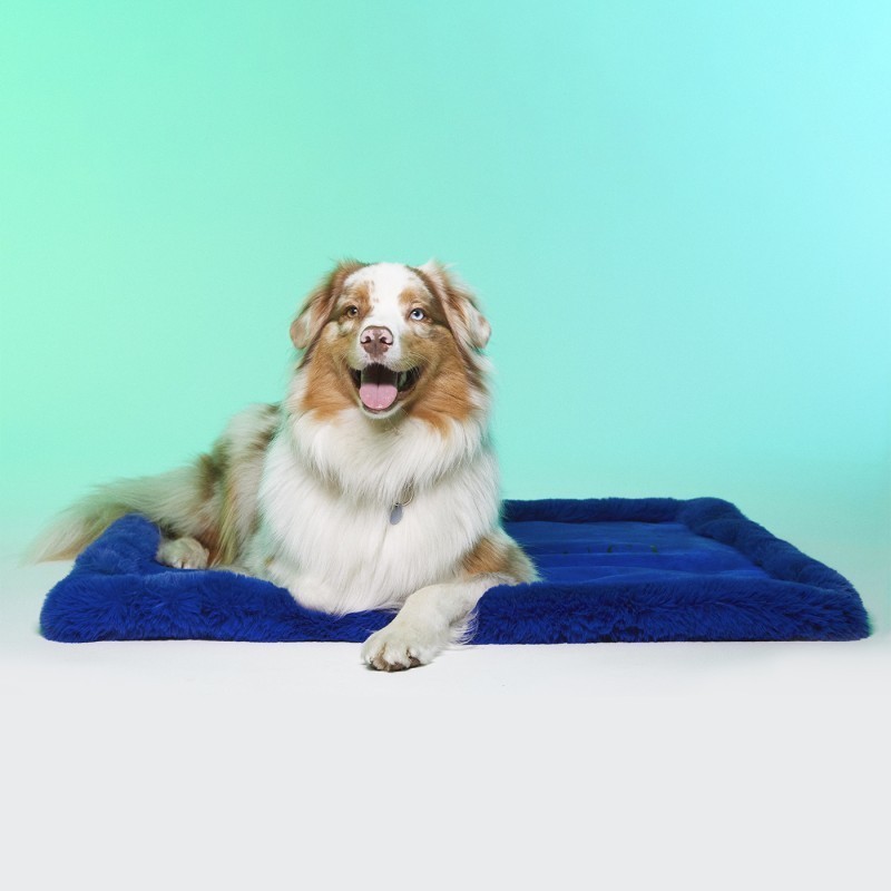 chien couché sur le tapis pour chien Londres LE TAPIS ROUGE PARIS
