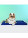 chien couché sur le tapis pour chien Londres LE TAPIS ROUGE PARIS