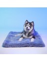 Chien allongé sur Le tapis pour chien Dubaï LE TAPIS ROUGE PARIS