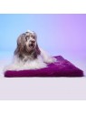 Chien allongé sur le tapis pour chien LE TAPIS ROUGE PARIS