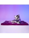 Chien couché sur le tapis pour chien Tokyo LE TAPIS ROUGE PARIS