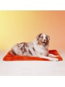Chien allongé sur le tapis pour chien Lisse LE TAPIS ROUGE PARIS