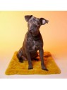 Chien assis sur le tapis pour chien New York LE TAPIS ROUGE PARIS