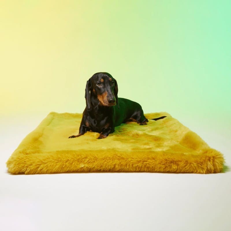 Chien allongé sur le tapis pour chien New York LE TAPIS ROUGE PARIS