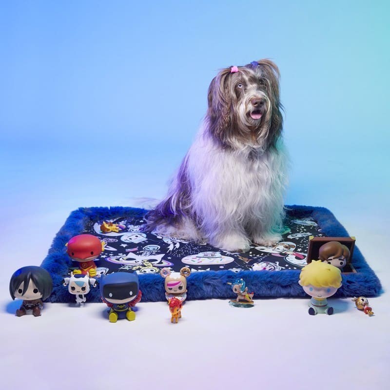 Chien assis sur Le tapis pour chien Space Dream LE TAPIS ROUGE PARIS côté motif
