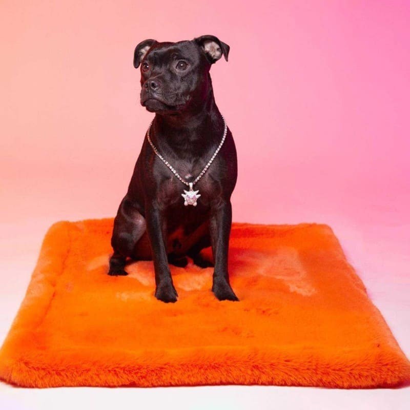 Chien assis sur le tapis pour chien Milk and Sugar LE TAPIS ROUGE PARIS côté uni