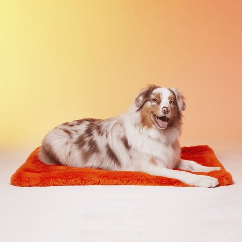 Chien allongé sur le tapis pour chien Milk and Sugar LE TAPIS ROUGE PARIS côté uni