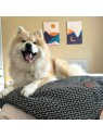Chien sur le Plaid pour chien marron collection Avenue Montaigne MARTIN SELLIER imprimé graphique