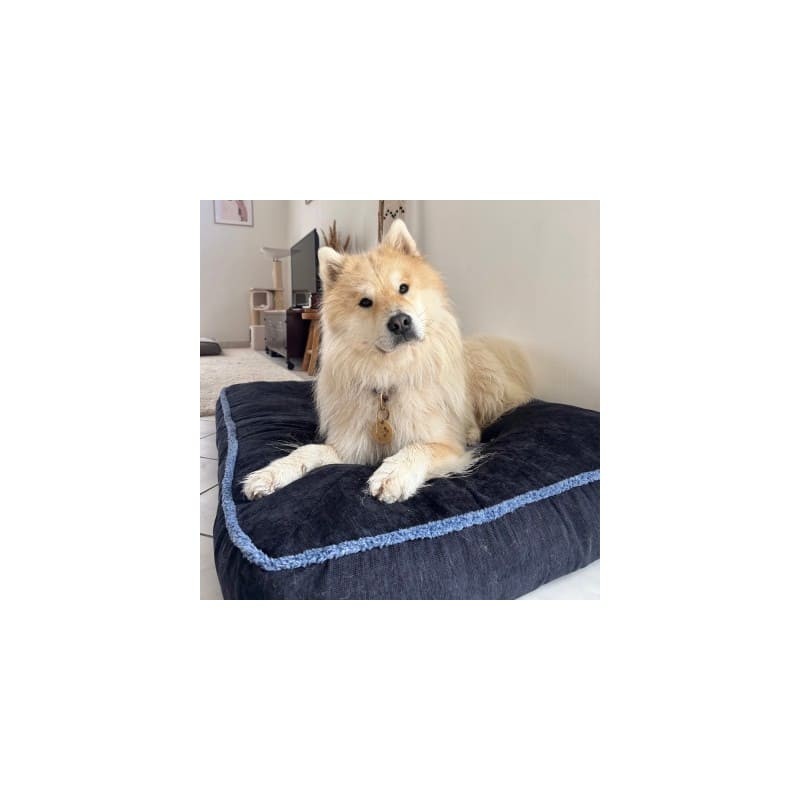 chien sur le coussin pour chien bleu bord épais collection Doudouzen MARTIN SELLIER