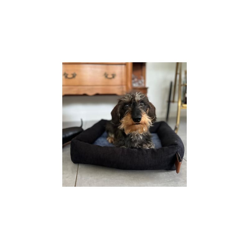chien avec la corbeille pour chien bleue Damier collection Doudouzen MARTIN SELLIER