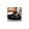 chien avec la corbeille pour chien bleue Damier collection Doudouzen MARTIN SELLIER
