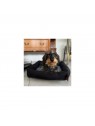 chien avec la corbeille pour chien bleue Damier collection Doudouzen MARTIN SELLIER