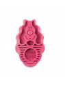 brosse zoom groom pour chien KONG