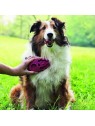 brosser son chien avec la brosse zoom groom pour chien KONG