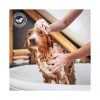 laver son chien avec le shampooing pour chien poils mi-longs banane iv san bernard