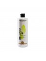 shampooing pour chien poils longs pomme verte  iv san bernard