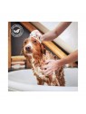 Laver son animal avec le shampooing pour chien poils longs pomme verte iv san bernard