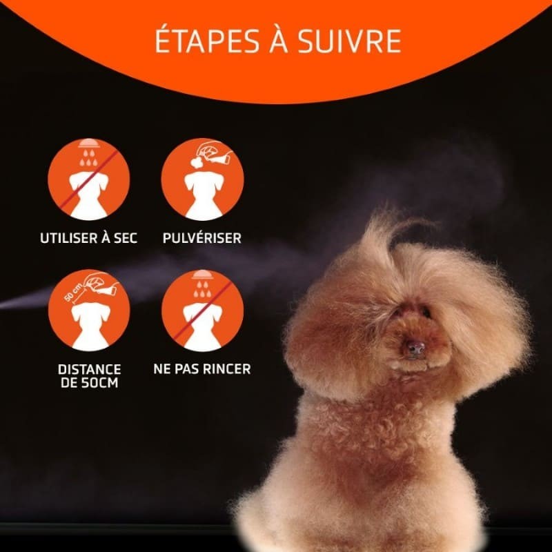 Conseils d'utilisation Shampooing sec pour chien speed artero