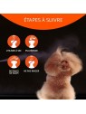 Conseils d'utilisation Shampooing sec pour chien speed artero
