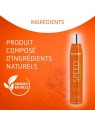Shampooing sec pour chien speed artero ingrédients naturels