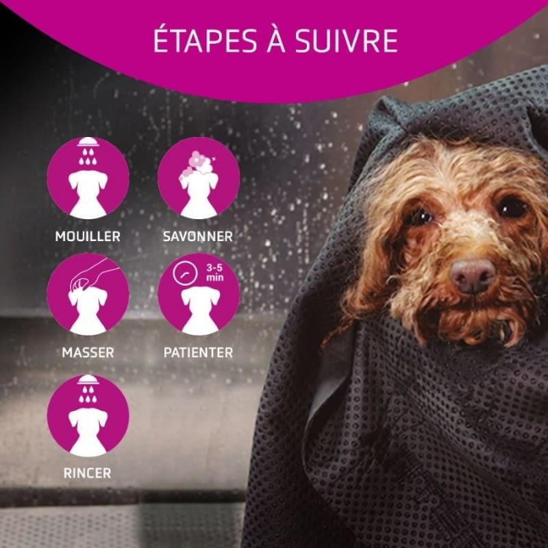 Conseils d'utilisation shampooing pour chien revitalisant Artero