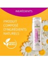shampooing pour chien revitalisant Artero ingrédients naturels
