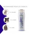 recommandations shampooing pour chien poils blanc Artero