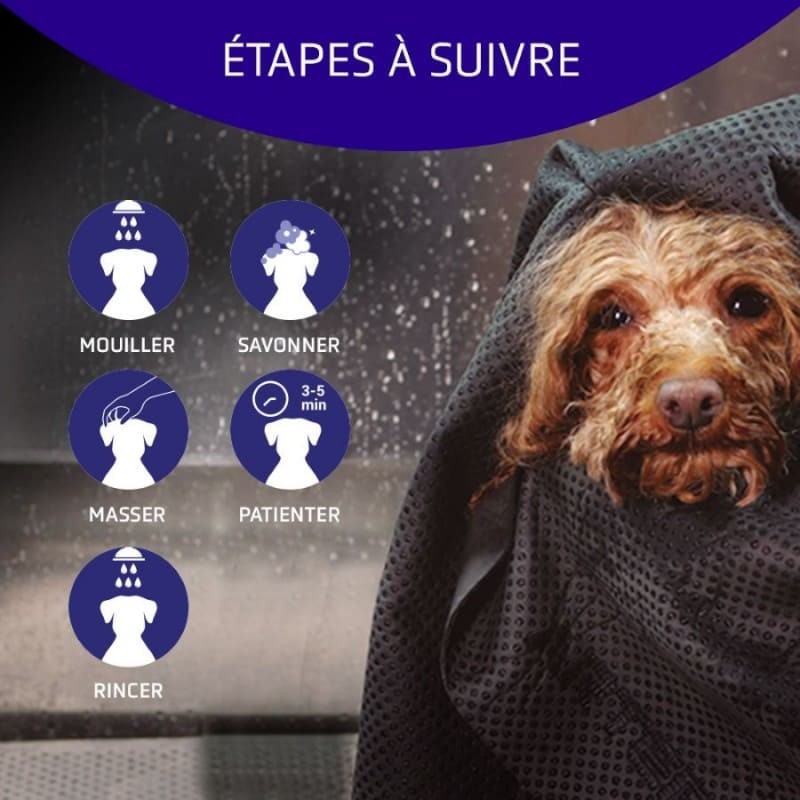 conseils d'utilisation du shampooing pour chien poils blanc Artero