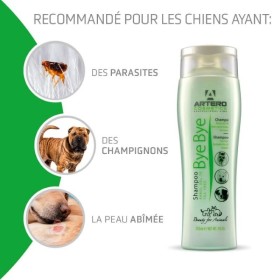recommandations du shampooing pour chien bye bye artero