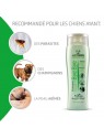 recommandations du shampooing pour chien bye bye artero