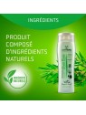 shampooing pour chien bye bye artero ingrédients naturels