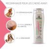 Recommandations du shampooing pour chien hypoallergénique relax Artero