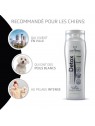 recommandations du shampooing pour chien anti-pollution détox artero