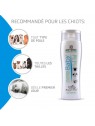 recommandations shampooing pour chiot Baby Artero