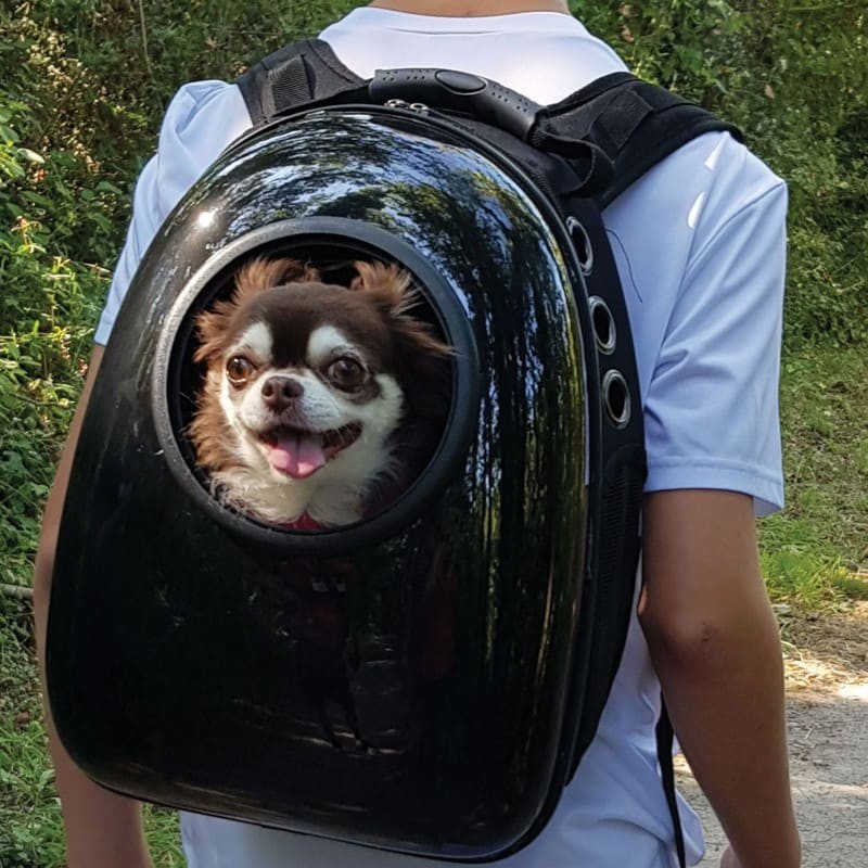 homme portant un chien dans le sac à dos pour chien noir cosmonaute doogy avec ouverture sur l'extérieur