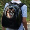 homme portant un chien et chat dans le sac à dos pour chien noir cosmonaute doogy avec ouverture sur l'extérieur