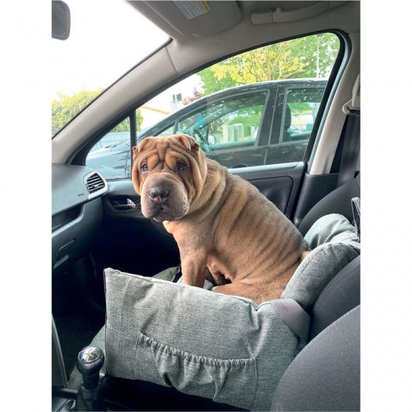 chien installé dans le fauteuil voiture pour chien gris naya Doogy
