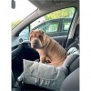 chien installé dans le fauteuil voiture pour chien gris naya Doogy