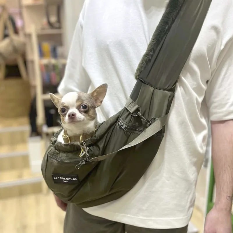 chien dans le sac de transport banane pour chien le turtle le tapis rouge paris