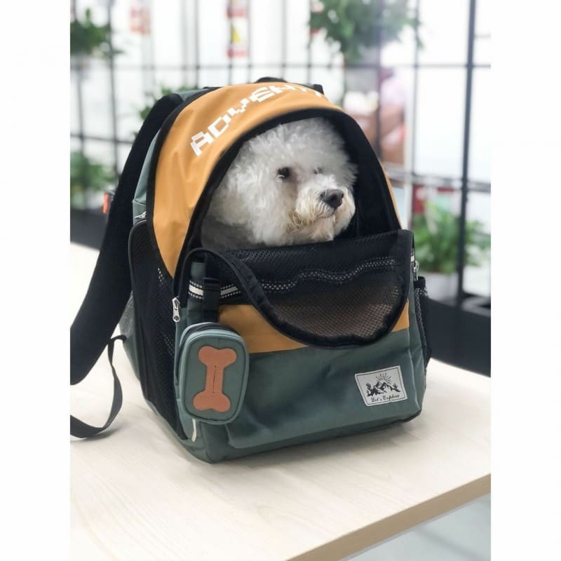 chien dans le sac à dos pour chien camping Doogy