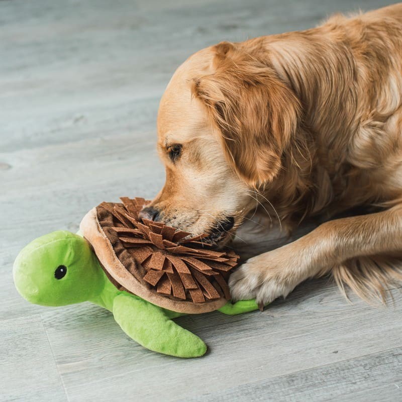 chien qui joue avec la peluche de fouille pour chien tortue beetzees