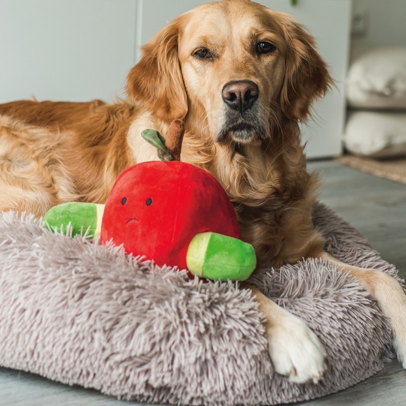 Chien et peluche de fouille pour chien pomme et asticot beetzees