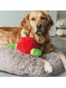 Chien et peluche de fouille pour chien pomme et asticot beetzees